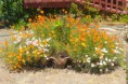 /album/fotogaleria-jardin/a1474545-593775374025401-413990285-n-jpg/